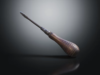Professional Hardware Tool Screwdriver With Wooden Handle And Metal Shaft Design 3d model