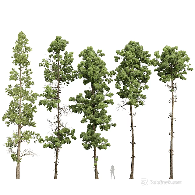 Various Types of Arbor Trees With Green Leaves and Different Trunk Shapes 3d model 