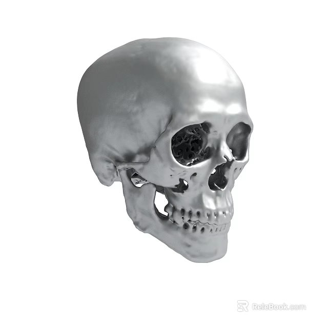 Detailed Silver Human Skull 3D Model With Realistic Surface Texture 3d model