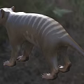 Brown Striped Reptile Standing With Clawed Feet In Natural Outdoor Habitat