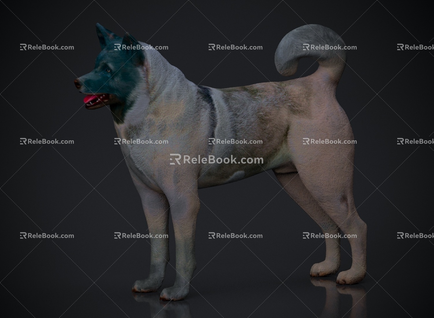 Animal Beast Dog 3d model