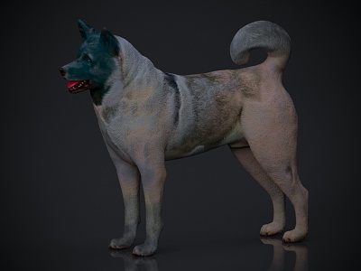 Animal Beast Dog 3d model