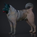 Animal Beast Dog 3d model