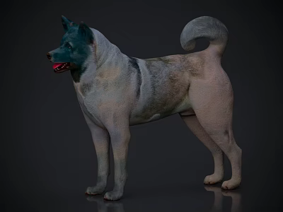 Reptile 3D Model With Gray White And Black Patterns Curled Tail Standing On Dark Background 3d model