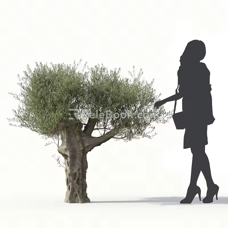 Olive Tree Olive Street Trees Roadside Trees Community Greening Big Olive Trees 3d model