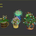 Indoor Decorative Plants with Yellow Flowers Green Foliage in Red Cup Transparent Bucket and Yellow Pot