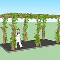 Garden Arbor Covered With Green Vines And People Walking On Stone Path