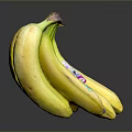 Ripe Fresh Yellow Bananas Bunch With Brand Stickers On Shiny Surface