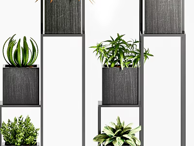 Stylish Bonsai Potted Plants On Black Tiered Shelves With Various Green Foliage 3d model