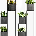 Stylish Bonsai Potted Plants On Black Tiered Shelves With Various Green Foliage
