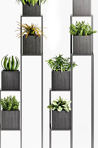 Stylish Bonsai Potted Plants On Black Tiered Shelves With Various Green Foliage 3d model
