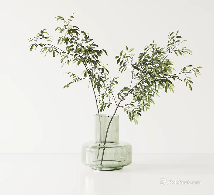 Clear Green Glass Vase With Fresh Leafy Branches In Minimalist White Background 3d model 