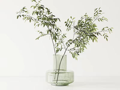 Clear Green Glass Vase With Fresh Leafy Branches In Minimalist White Background 3d model