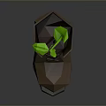 Brown Leather Boots With Green Plant Growing Inside Low Poly Design
