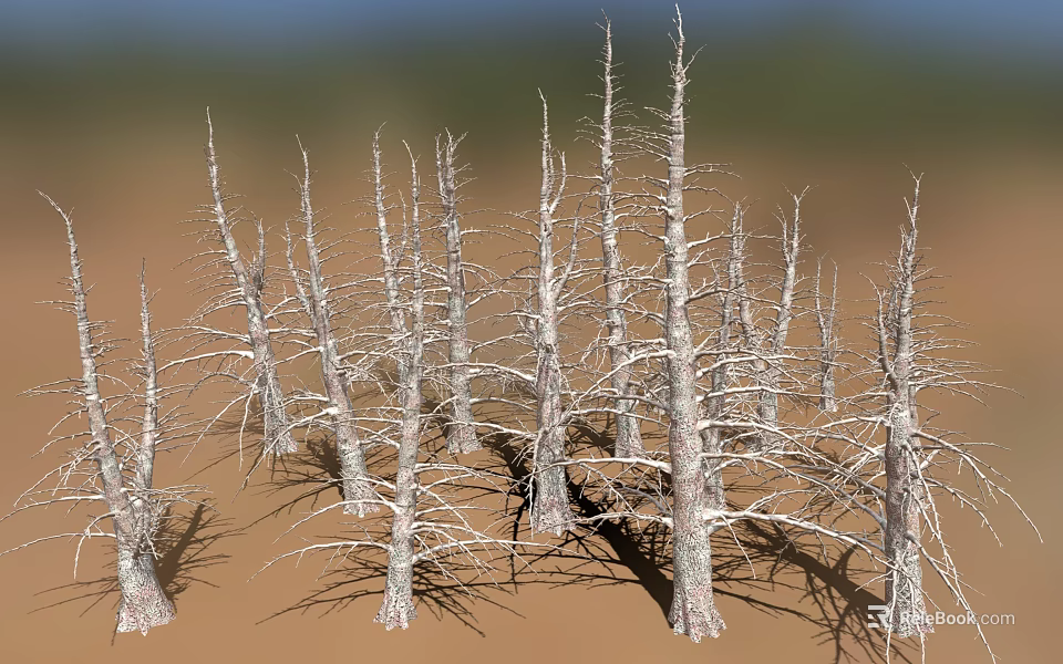 Dry Wooden Tree Trunks On Sandy Stone Ground Natural Landscape 3d model 