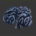 3D Rendered Human Brain Model Medical Device for Neuroscience Research and Anatomy Education