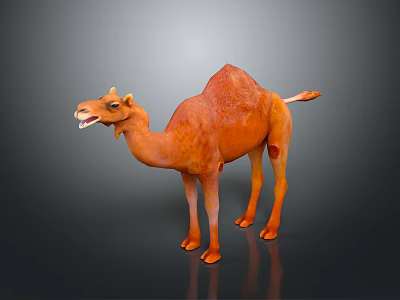 Realistic 3D Camel Model Standing With Open Mouth And Brown Orange Fur On Dark Surface 3d model