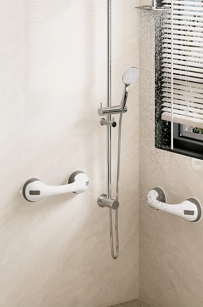Essential Bathroom Accessories Featuring Shower Head Rod And Safety Grab Bars 3d model