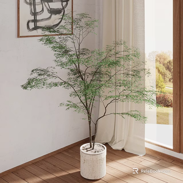Elegant Indoor Green Plant in White Planter by Window with Curtain and Wooden Floor 3d model 