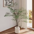 Elegant Indoor Green Plant in White Planter by Window with Curtain and Wooden Floor