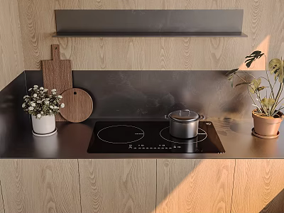 Modern Kitchen Interior With Cooktop Pot Cutting Boards And Plants 3d model