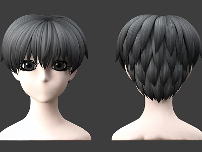 Man 3D Head Model Front And Back View With Short Gray Layered Hair 3d model