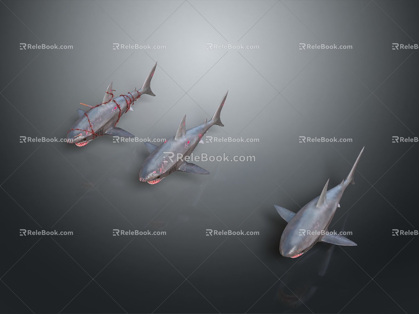 shark great white shark whale shark hammerhead shark tiger head shark man-eating shark blue shark coral red coral white coral 3d model