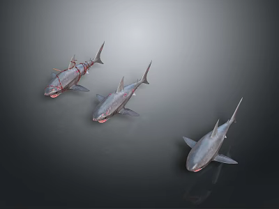 Three Realistic 3D Rendered Sharks Swimming Gracefully on Dark Background 3d model