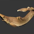 Orange Fish Floating In Mid Air Against Gray Background With Unique Textured Appearance
