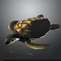 Detailed Sea Turtle Figurine With Brown Yellow Shell And Blue Limbs On Dark Background