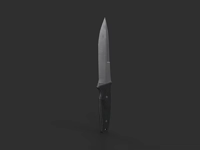 Tactical Weapon Knife Featuring Sharp Metal Blade And Black Handle Design 3d model