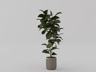 Indoor Potted Plant with Lush Green Leaves in Light Gray Striped Pot 3d model