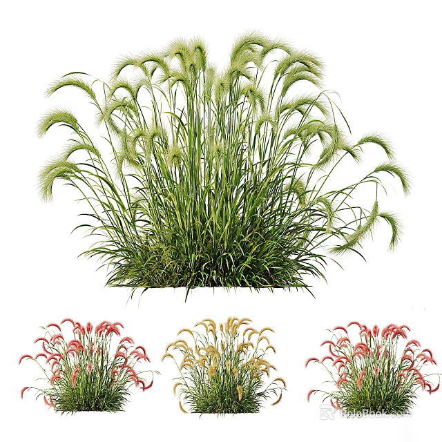 Lush Feathery Ornamental Grasses And Colorful Flowers For Garden Landscaping 3d model 