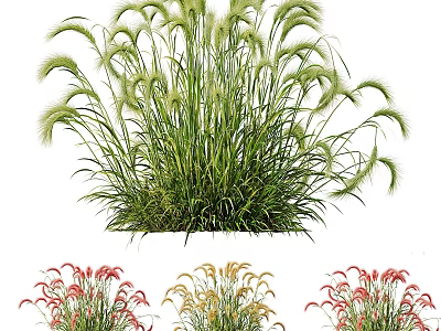 Lush Feathery Ornamental Grasses And Colorful Flowers For Garden Landscaping 3d model