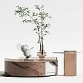 Modern Coffee Table With Marble Surface Decorative Plant And Wooden Side Table Design 3d model