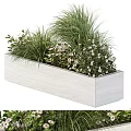 Rectangular White Wooden Planter With Green Grasses And White Flowers For Indoor Outdoor Container Garden