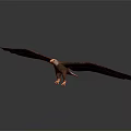 Modern Eagle Sculpture 3d model