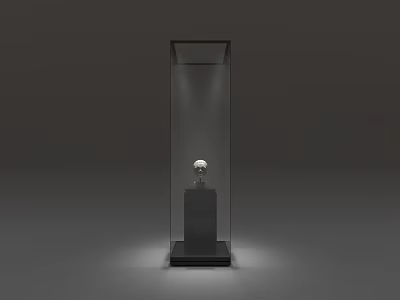 Black Display Cabinet Shelf with Top Lighting Holding White Sculpture on Black Base 3d model