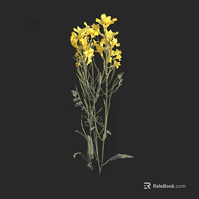 Beautiful Yellow Flowers with Stems and Green Leaves Against Black Background 3d model 
