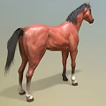 Brown Horse With Black Mane Tail And White Hooves Standing On Green Background