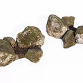 Natural Stone and Wood Decorative Arrangement With Mossy Rocks and Wooden Elements