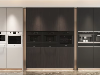 Modern Kitchen With White And Dark Wood Cabinets Built in Ovens And Coffee Maker Appliances 3d model