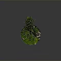 Towering Succulent Plant With Striped Green Leaves In Blue Pot With Stones And Moss