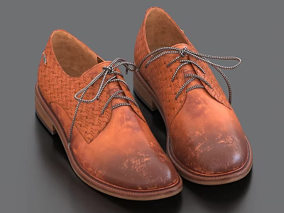 Brown Leather Casual Shoes Featuring Braided Upper And Gray Laces 3d model