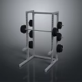 White Weight Rack With Black Weight Plates For Home Gym Fitness Use
