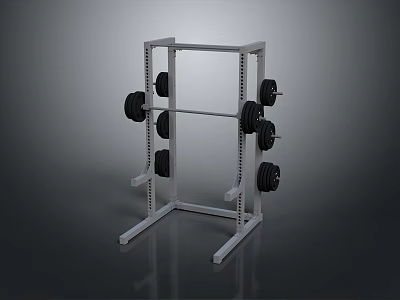 White Weight Rack With Black Weight Plates For Home Gym Fitness Use 3d model
