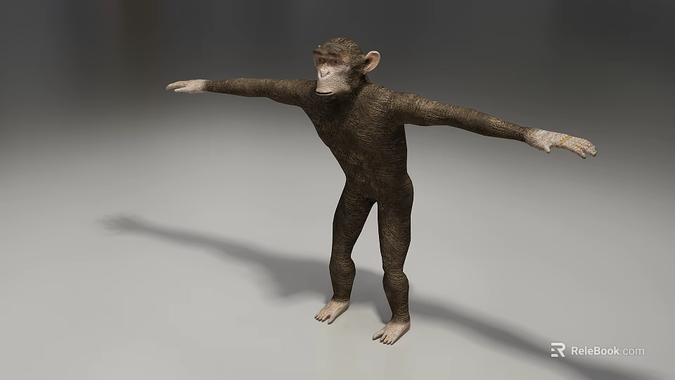 Standing Reptile With Brown Skin And Extended Arms On White Background 3d model 