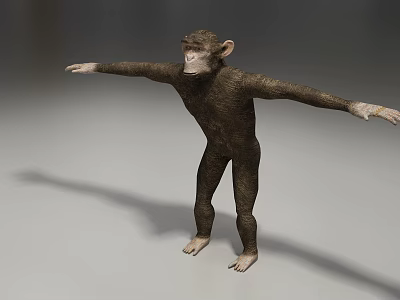 Standing Reptile With Brown Skin And Extended Arms On White Background 3d model