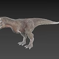 Detailed 3D Dinosaur Model With Head Horns Open Mouth And Textured Skin Isolated On Dark Background