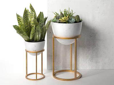 Potted Snake Plant and Succulents in White Planters on Gold Metal Stands Gray Wall 3d model
